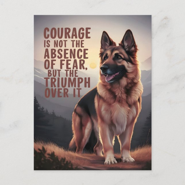 Deutscher Schäferhund bei Sonnenuntergang Postkarte (Vorderseite)