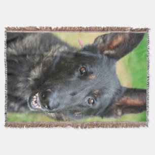 Deutscher Schäferhund Decke