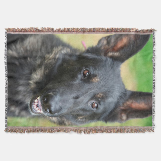 Deutscher Schäferhund Decke (Vorderseite)