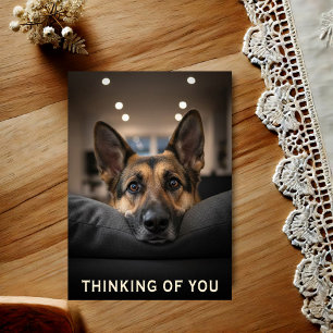 Deutscher Schäferhund denkt an Dich Postkarte