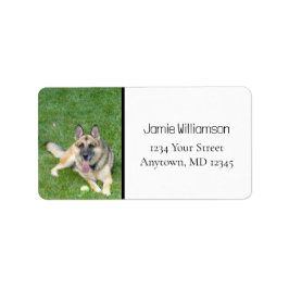Deutscher Schäferhund Dog K9 Foto-Adressenmarken Adressaufkleber