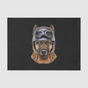 Deutscher Schäferhund, Fahrrad in Motorradhelm Seidenpapier