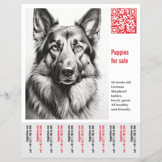 Deutscher Schäferhund Flyer (Vorne)
