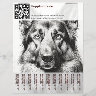 Deutscher Schäferhund Flyer