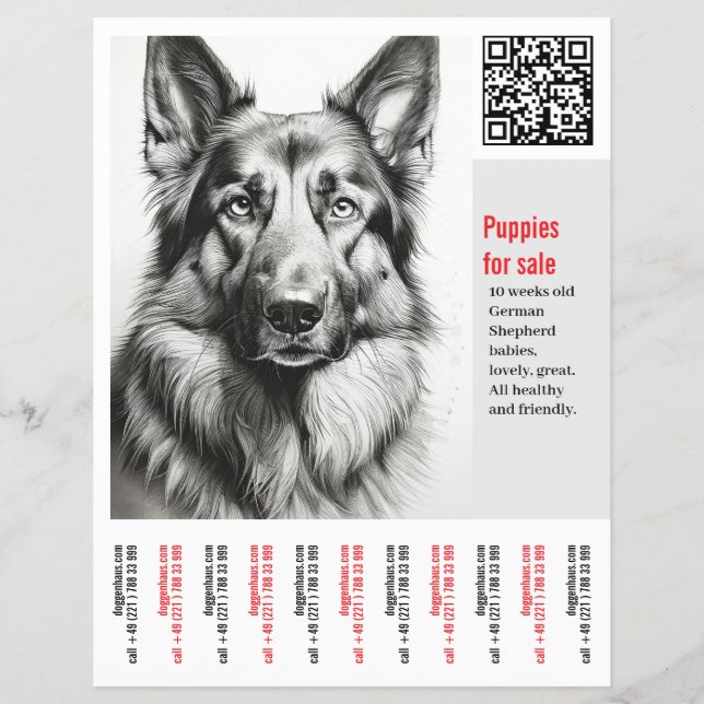 Deutscher Schäferhund Flyer (Vorne)