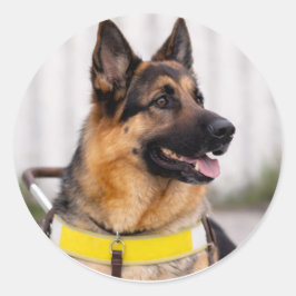Deutscher Schäferhund Führhund Abschluss Umschlag  Runder Aufkleber