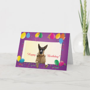 Deutscher Schäferhund Glücklicher Geburtstag Farbi Karte