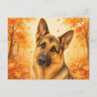 Deutscher Schäferhund Herbstwald Hund