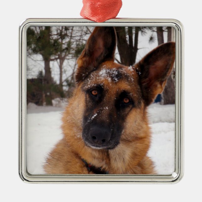 Deutscher Schäferhund Holiday Ornament (Vorne)