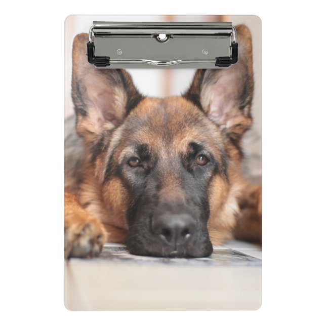 Deutscher Schäferhund/Hund-Foto Mini Klemmbrett (Vorderseite)