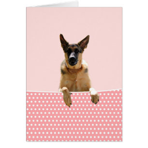 Deutscher Schäferhund Hund Pink Polka Dots