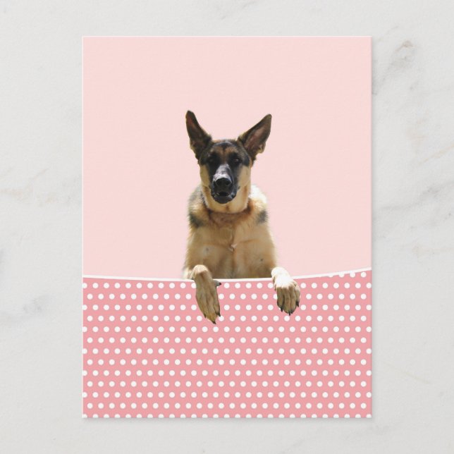Deutscher Schäferhund Hund Pink Polka Dots Postkarte (Vorderseite)