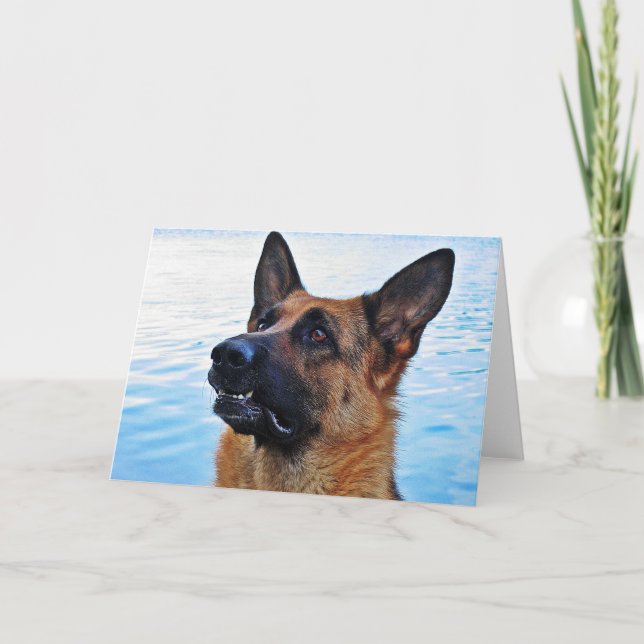 Deutscher Schäferhund - Hundekarte Karte (Vorderseite)