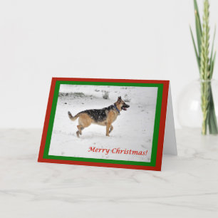 Deutscher Schäferhund im Schnee Weihnachtskarte Karte