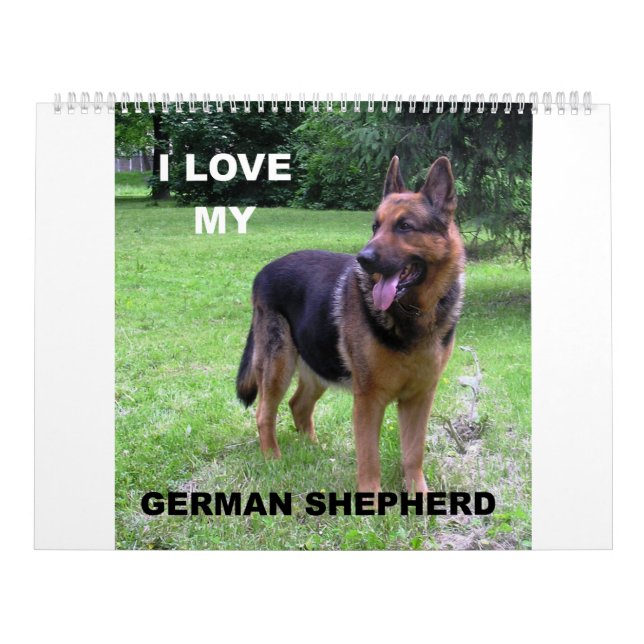 Deutscher Schäferhund Kalender (Titelbild)