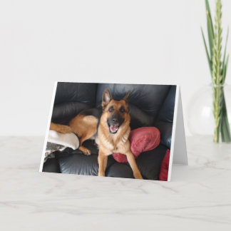 Deutscher Schäferhund Karte