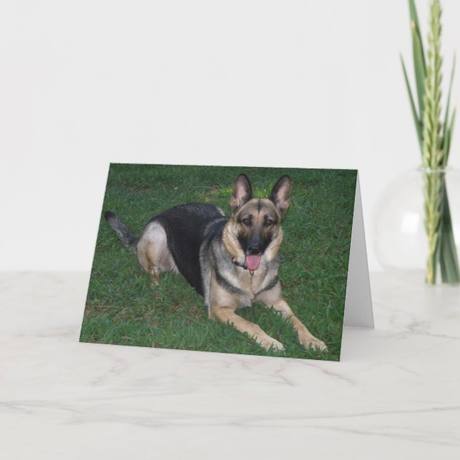 Deutscher Schäferhund Karte (Vorderseite)