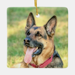 Deutscher Schäferhund Keramikornament