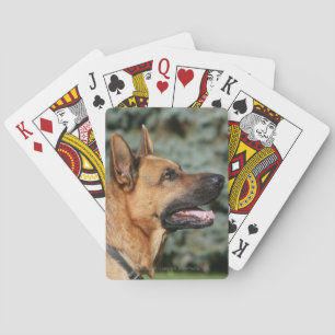Deutscher Schäferhund Kopfaufnahme 1 Spielkarten