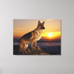 Deutscher Schäferhund Leinwanddruck