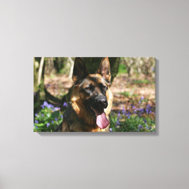 Deutscher Schäferhund Leinwanddruck (Vorderseite)