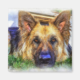 Deutscher Schäferhund Magnet