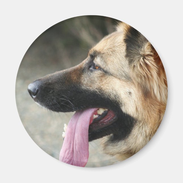 Deutscher Schäferhund Magnet (Vorne)