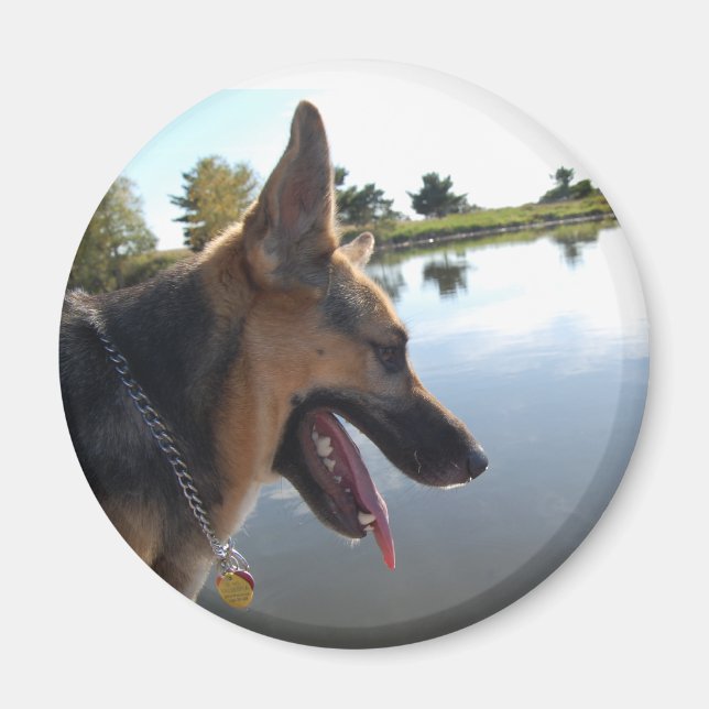 Deutscher Schäferhund Magnet (Vorne)