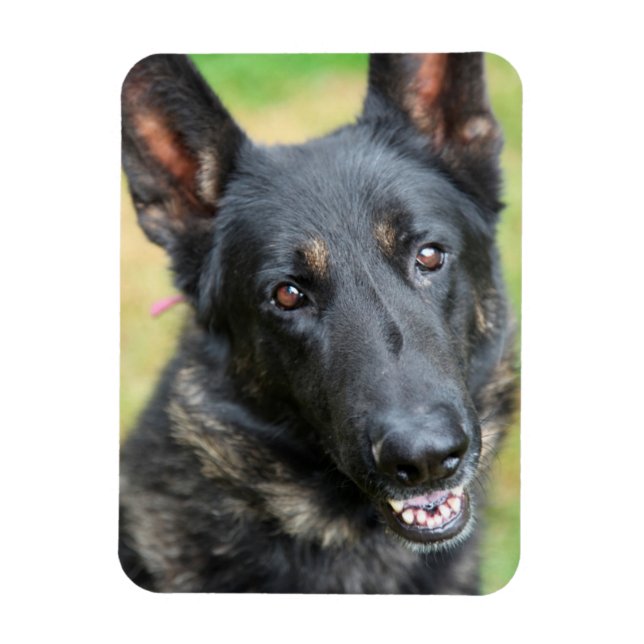 Deutscher Schäferhund Magnet (Vertikal)