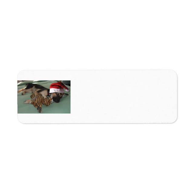 Deutscher Schäferhund mit einem Santa-Claus (Vorne)