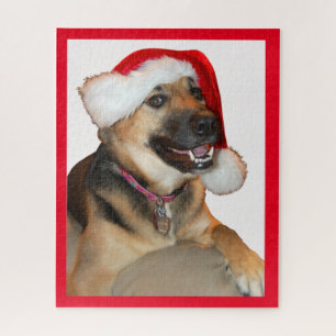 Deutscher Schäferhund mit einem Weihnachtshut