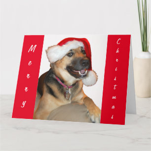 Deutscher Schäferhund mit einem Weihnachtshut Karte