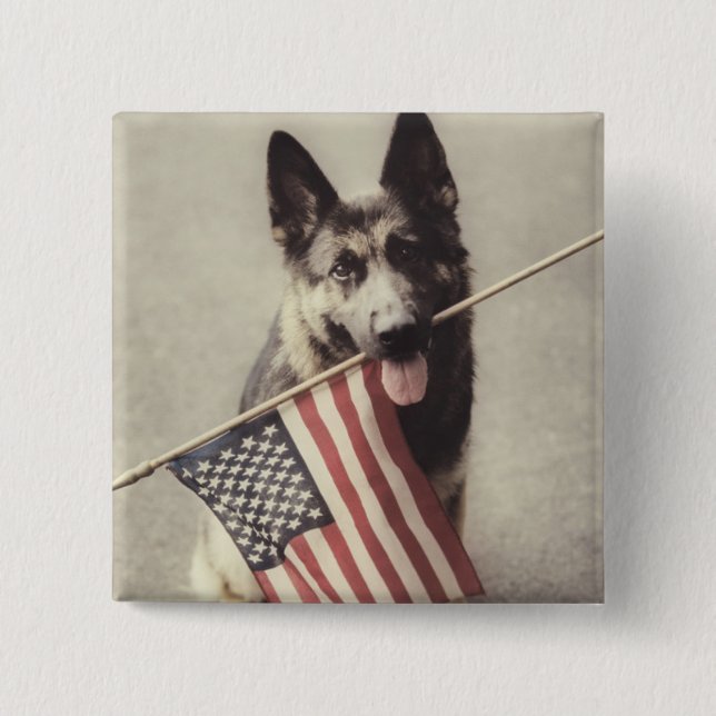Deutscher Schäferhund mit US-Flagge Button (Vorderseite)