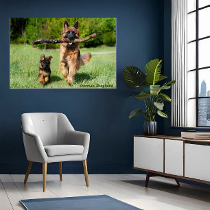 Deutscher Schäferhund Mutter und Welpe Laufposter  Poster