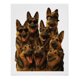 Deutscher Schäferhund Poster
