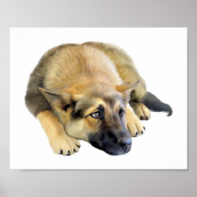 Deutscher Schäferhund Poster (Vorne)