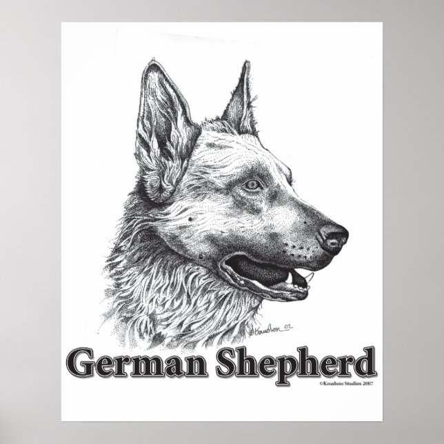 Deutscher Schäferhund Poster (Vorne)