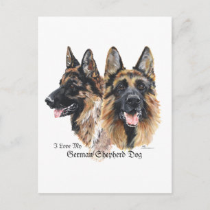 Deutscher Schäferhund Postkarte