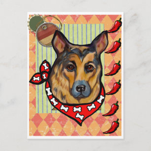 Deutscher Schäferhund Postkarte
