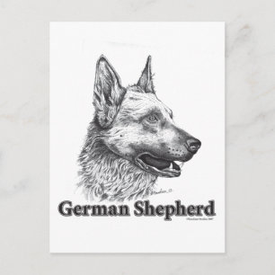 Deutscher Schäferhund Postkarte