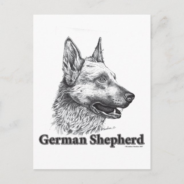 Deutscher Schäferhund Postkarte (Vorderseite)