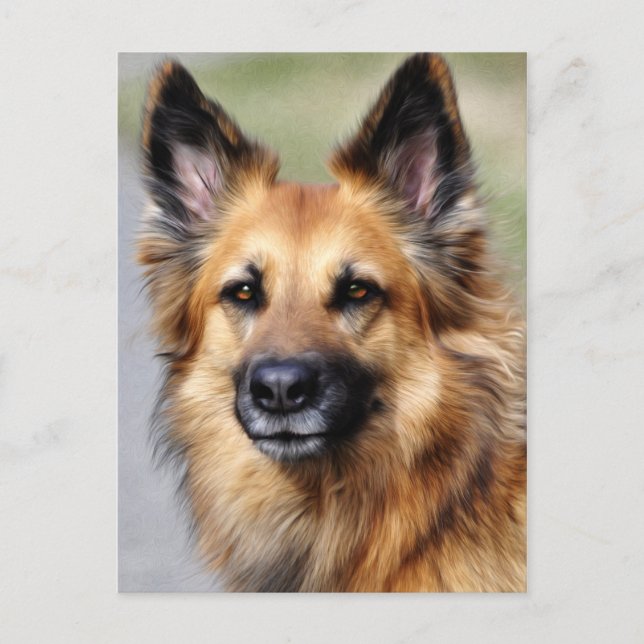 Deutscher Schäferhund Postkarte (Vorderseite)
