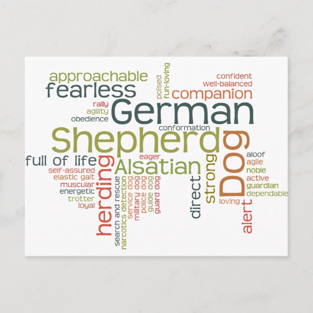 Deutscher Schäferhund Postkarte (Vorderseite)
