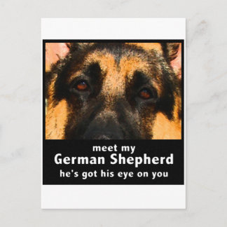 Deutscher Schäferhund Postkarte