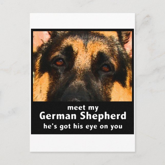 Deutscher Schäferhund Postkarte (Vorderseite)