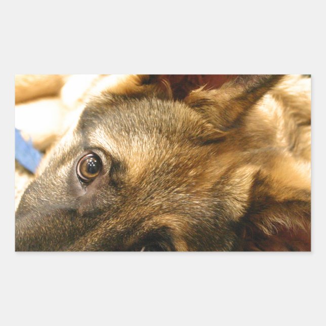 Deutscher Schäferhund Rechteckiger Aufkleber (Vorderseite)