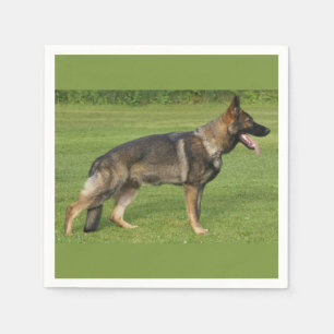 Deutscher Schäferhund Sable Vollständig Serviette