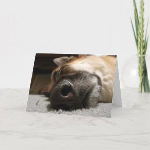 Deutscher Schäferhund schlafen Dankeschön Karte