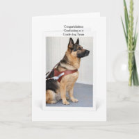 Deutscher Schäferhund schließt als Blindenführhund