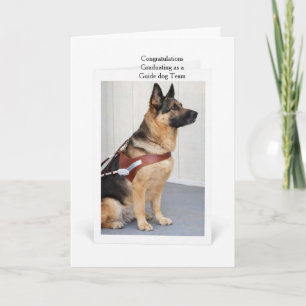 Deutscher Schäferhund schließt als Blindenführhund Karte